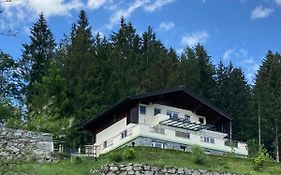 Holiday Apartment In Pinzgau With A Large Terrace