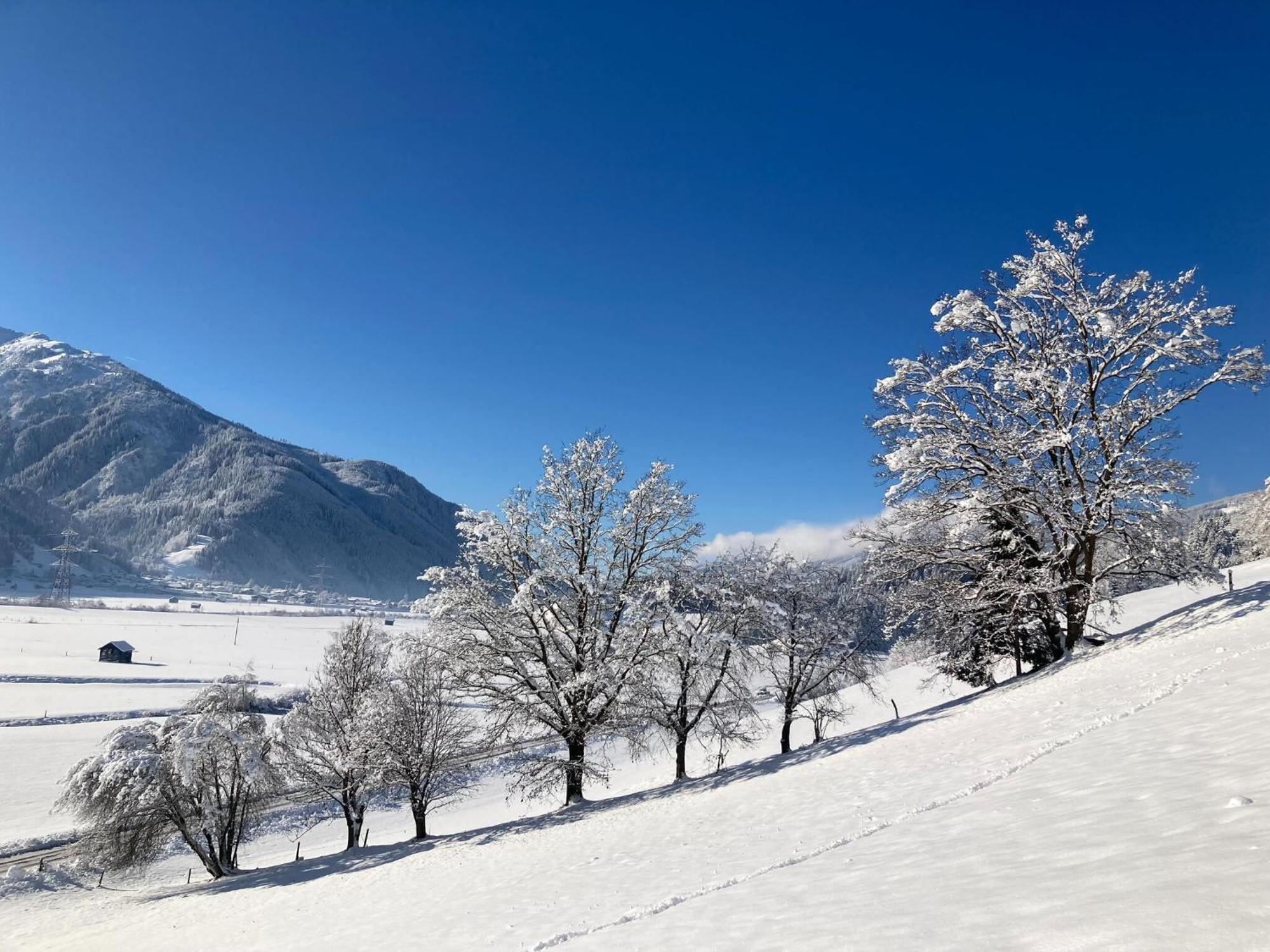Holiday Apartment In Pinzgau With A Large Terrace Mittersill Zewnętrze zdjęcie